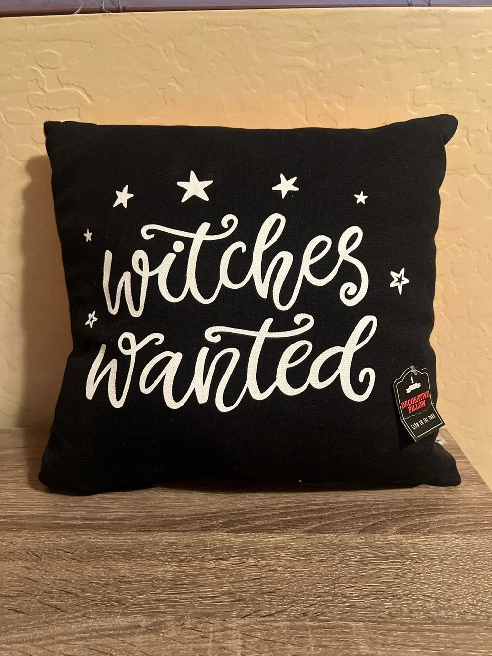 Target Bullseye Trick or Treat Witches Wanted Halloween 2 Sided Throw Pillow NWT